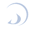 Snow Printing logo